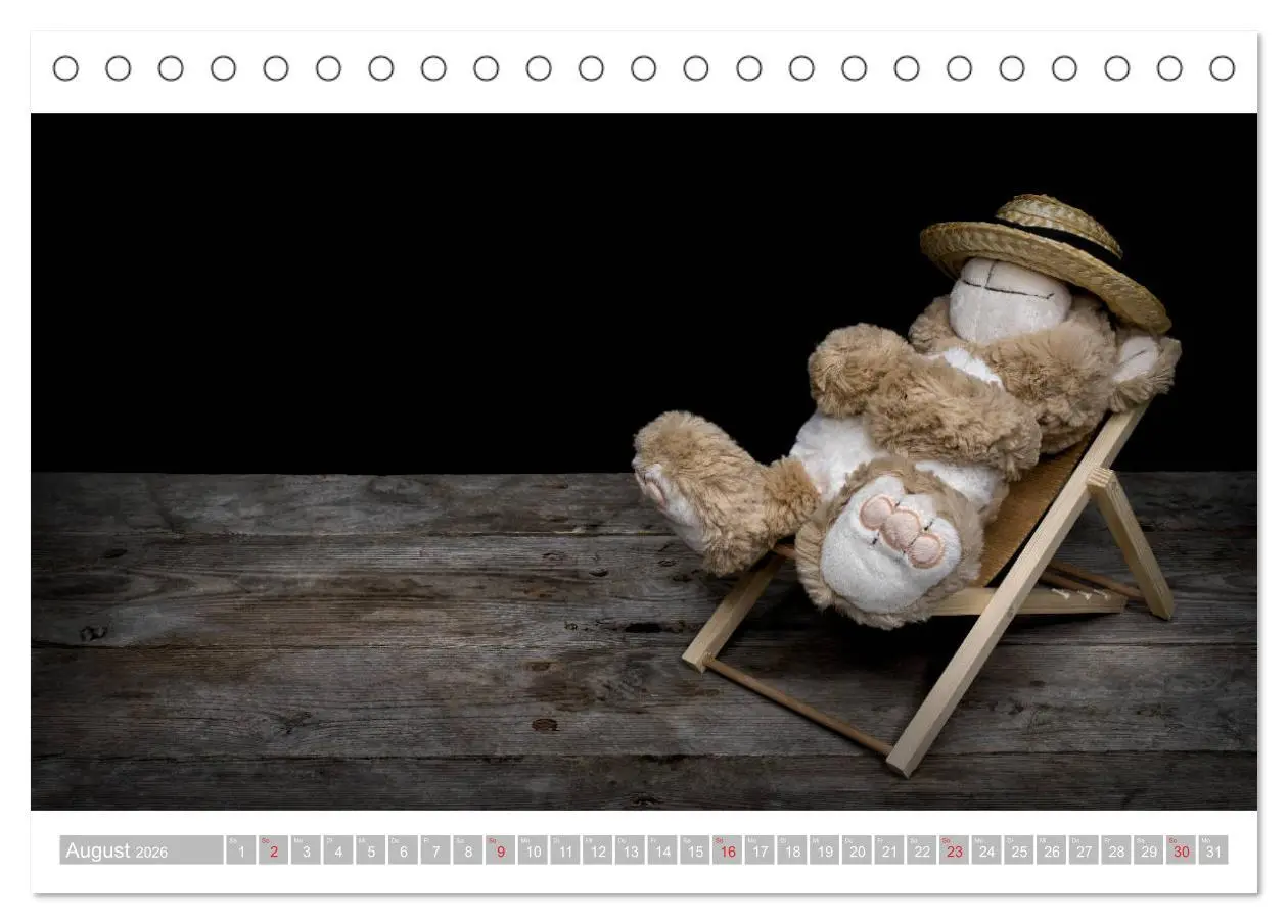 Bild: 9783457813003 | Eddy, der Teddy - 12 Bilder zum Schmunzeln (Tischkalender 2026 DIN...