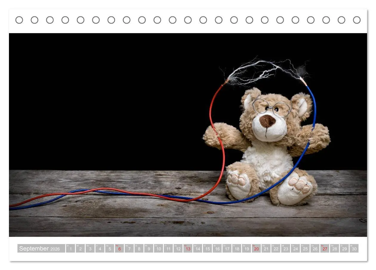 Bild: 9783457813003 | Eddy, der Teddy - 12 Bilder zum Schmunzeln (Tischkalender 2026 DIN...