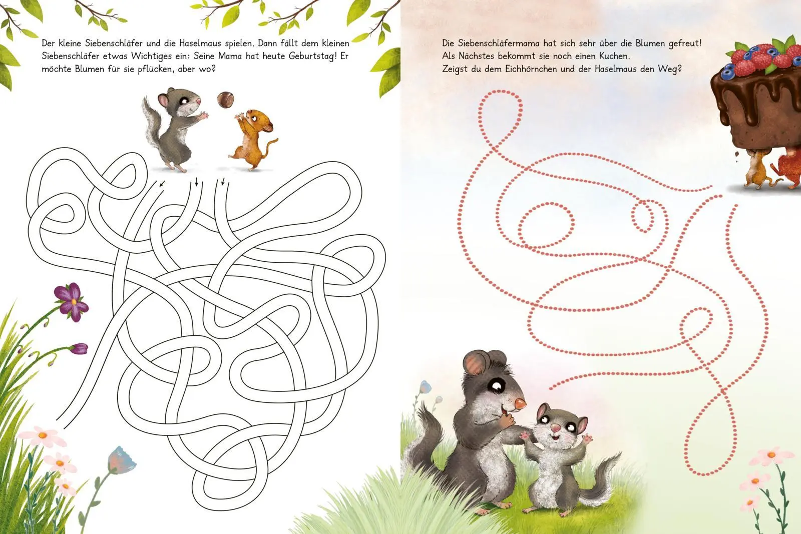 Bild: 9783522463003 | Der kleine Siebenschläfer: Mein großes Mal- und Rätselbuch | Bohlmann