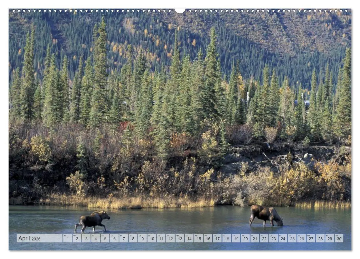 Bild: 9783516133103 | Wildes Alaska Christian Heeb (hochwertiger Premium Wandkalender...