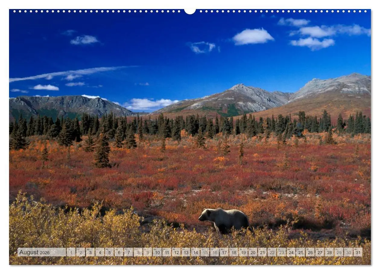 Bild: 9783516133103 | Wildes Alaska Christian Heeb (hochwertiger Premium Wandkalender...
