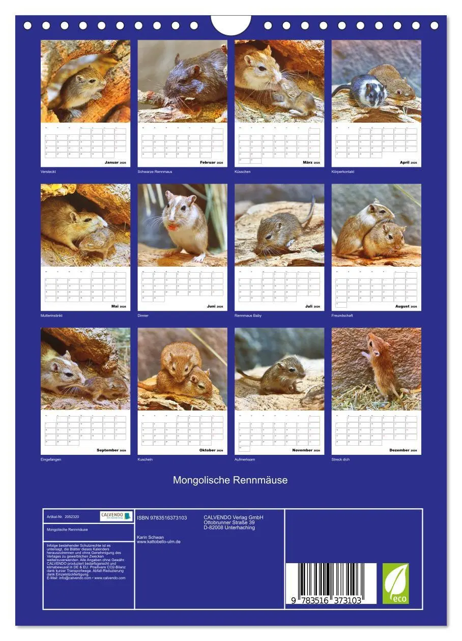 Bild: 9783516373103 | Mongolische Rennmäuse (Wandkalender 2026 DIN A4 hoch), CALVENDO...