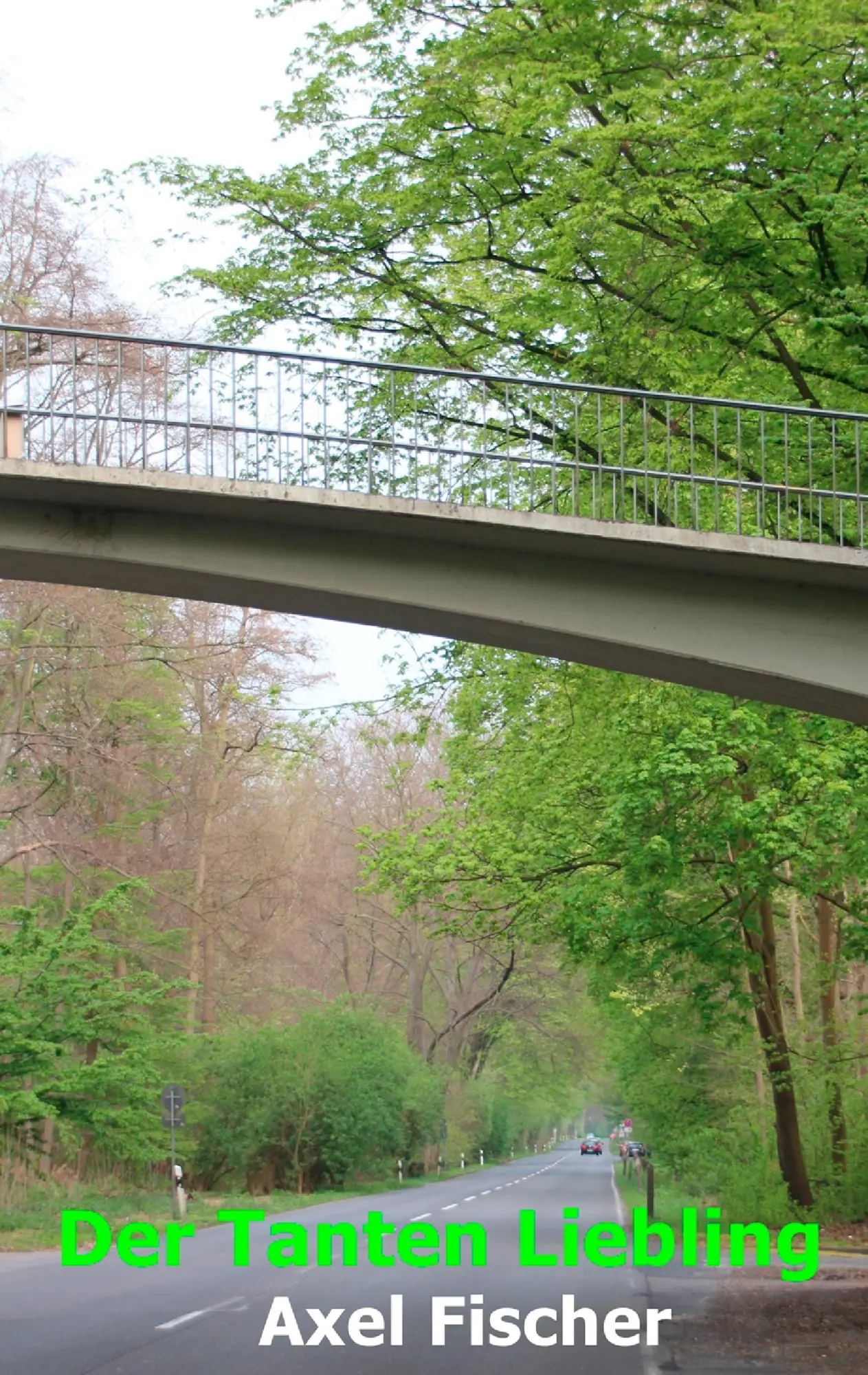 Cover: 9783744833103 | Der Tanten Liebling | Axel Fischer | Taschenbuch | 292 S. | Deutsch