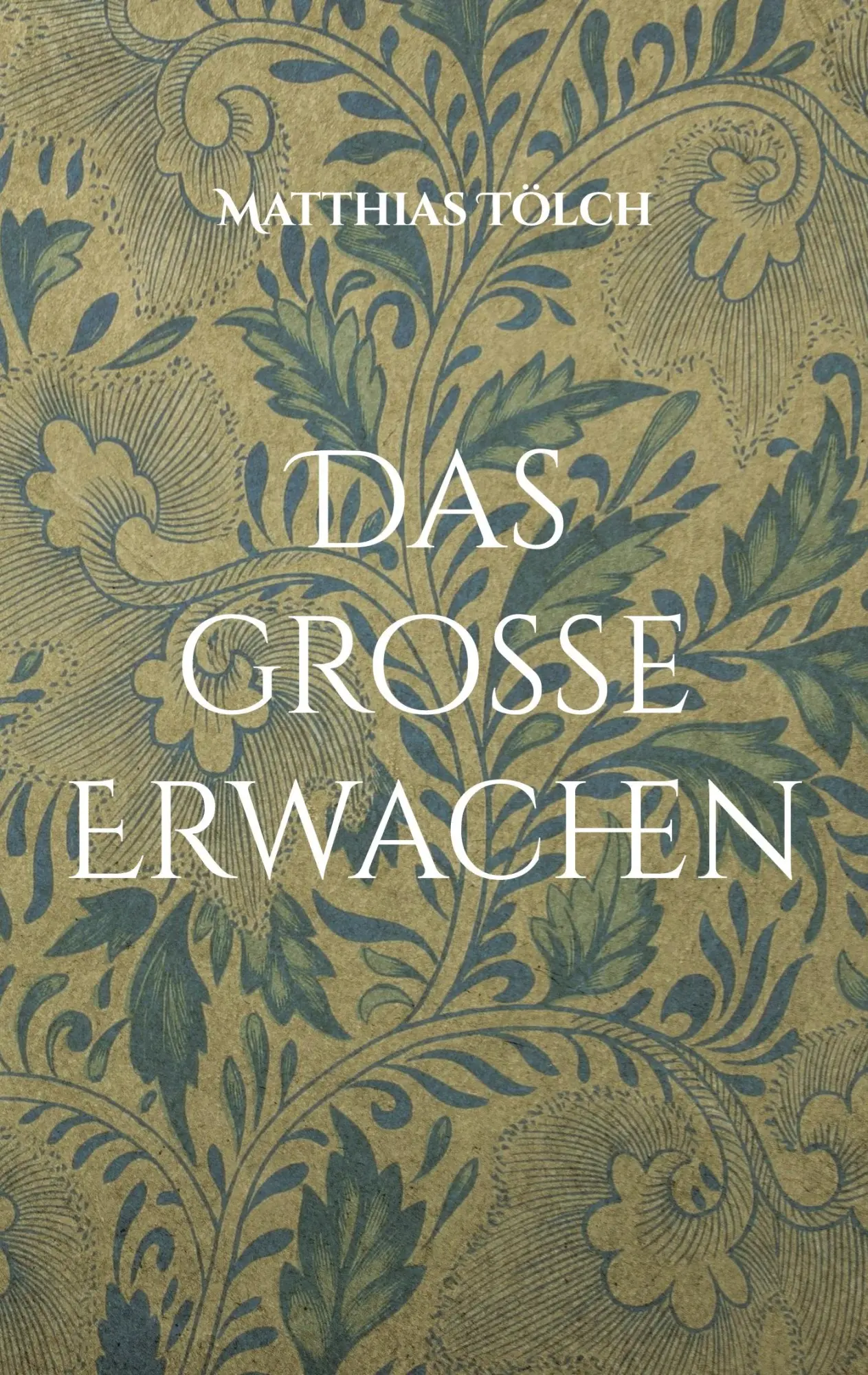 Cover: 9783758313103 | Das große Erwachen | Matthias Tölch | Taschenbuch | 80 S. | Deutsch