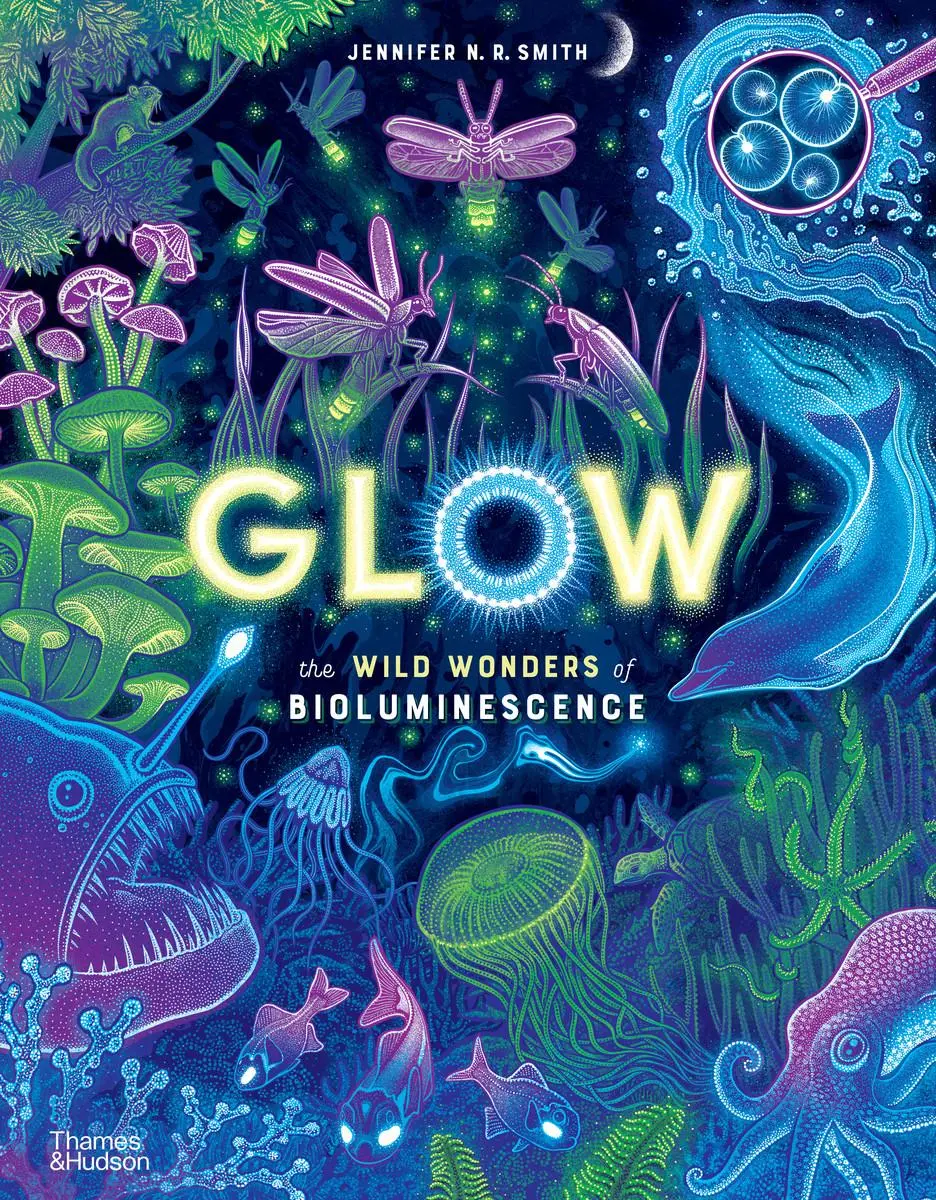 Cover: 9780500653203 | Glow | The Wild Wonders of Bioluminescence | Jennifer N R Smith | Buch