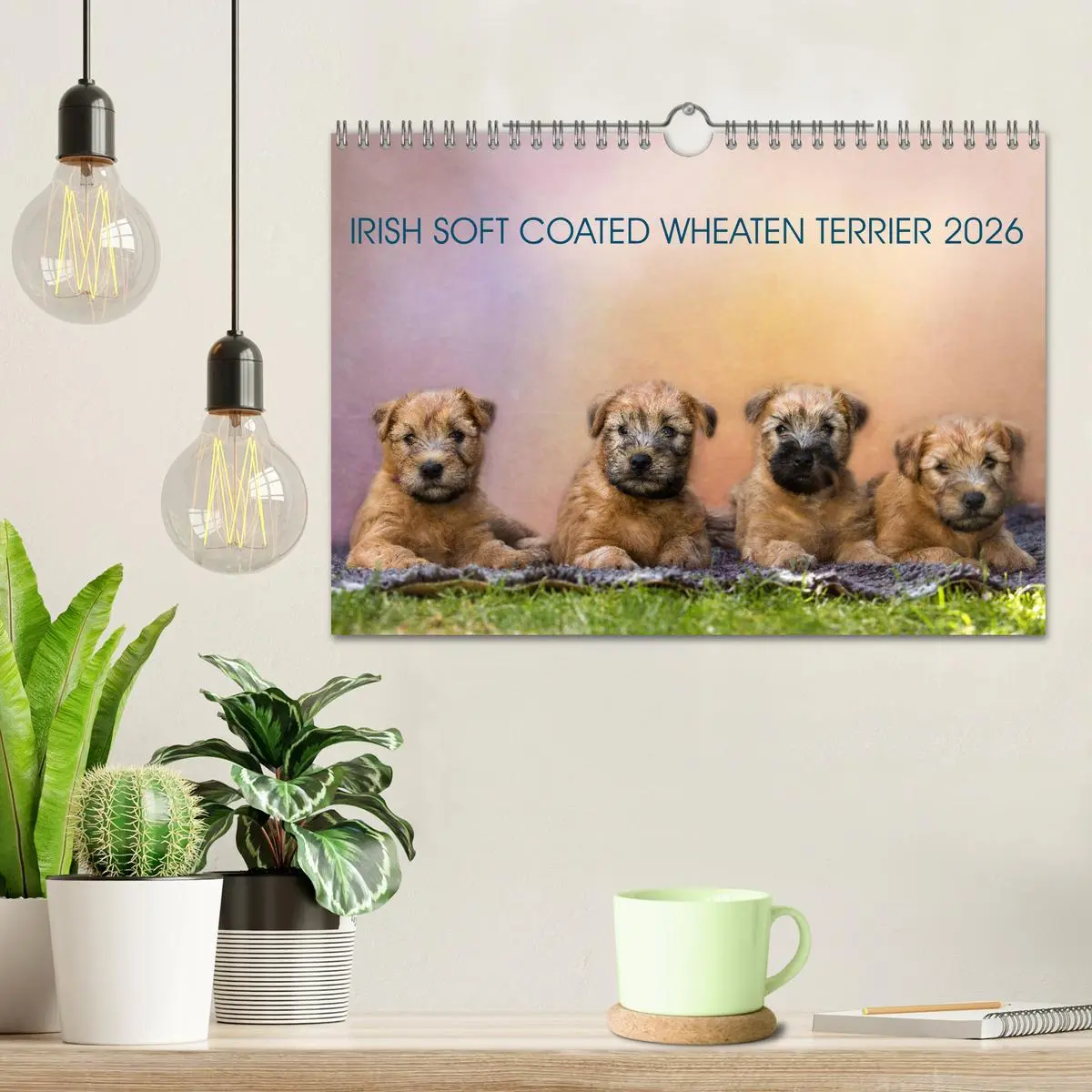 Bild: 9783457893203 | IRISH SOFT COATED WHEATEN TERRIER 2026 (Wandkalender 2026 DIN A4...