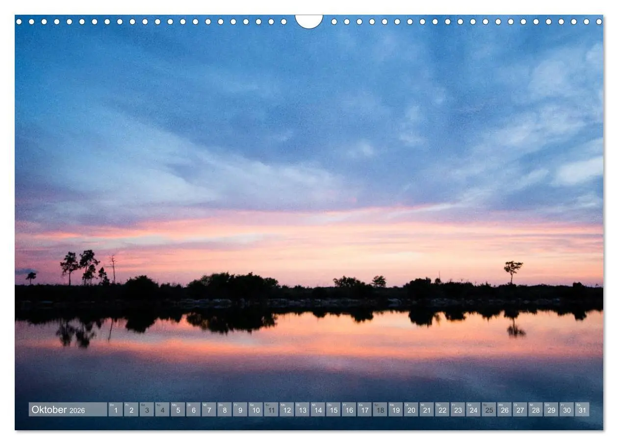 Bild: 9783516053203 | Florida. Sonne und Meer (Wandkalender 2026 DIN A3 quer), CALVENDO...