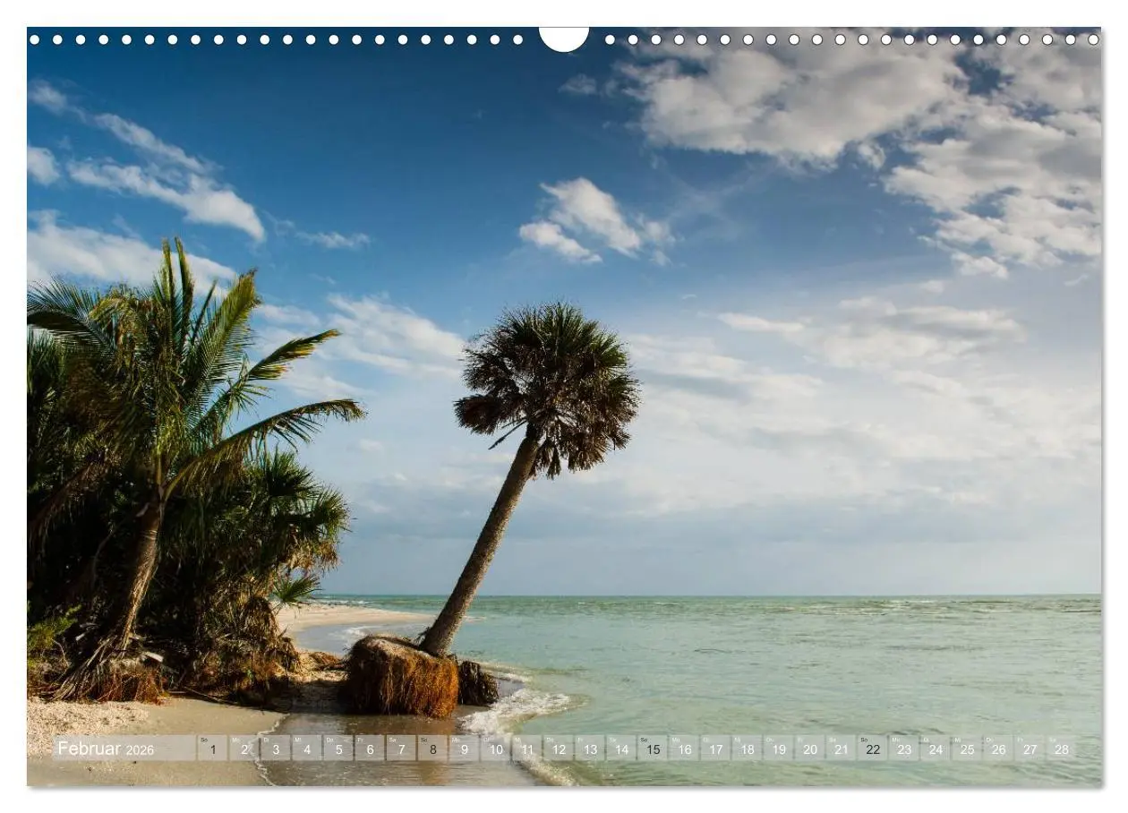 Bild: 9783516053203 | Florida. Sonne und Meer (Wandkalender 2026 DIN A3 quer), CALVENDO...