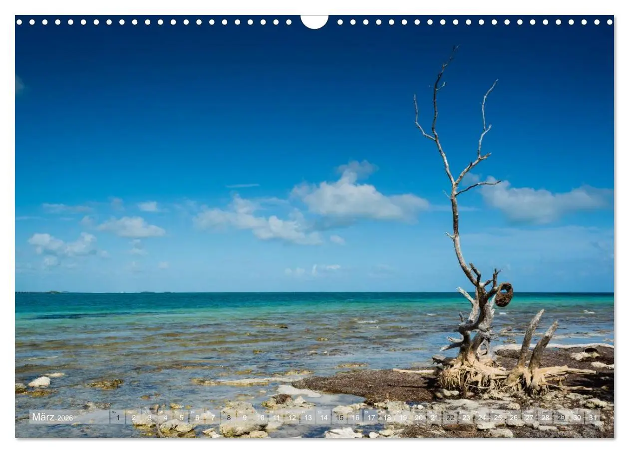 Bild: 9783516053203 | Florida. Sonne und Meer (Wandkalender 2026 DIN A3 quer), CALVENDO...