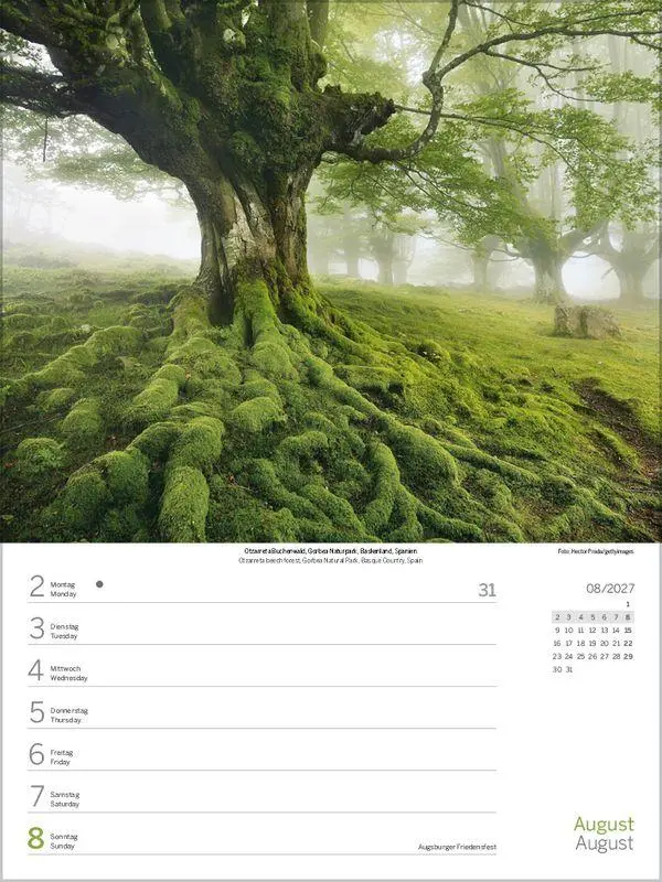 Bild: 9783819303203 | Augenblicke der Stille 2027 | Korsch Verlag | Kalender | 54 S. | 2027