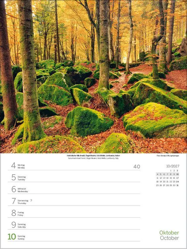 Bild: 9783819303203 | Augenblicke der Stille 2027 | Korsch Verlag | Kalender | 54 S. | 2027