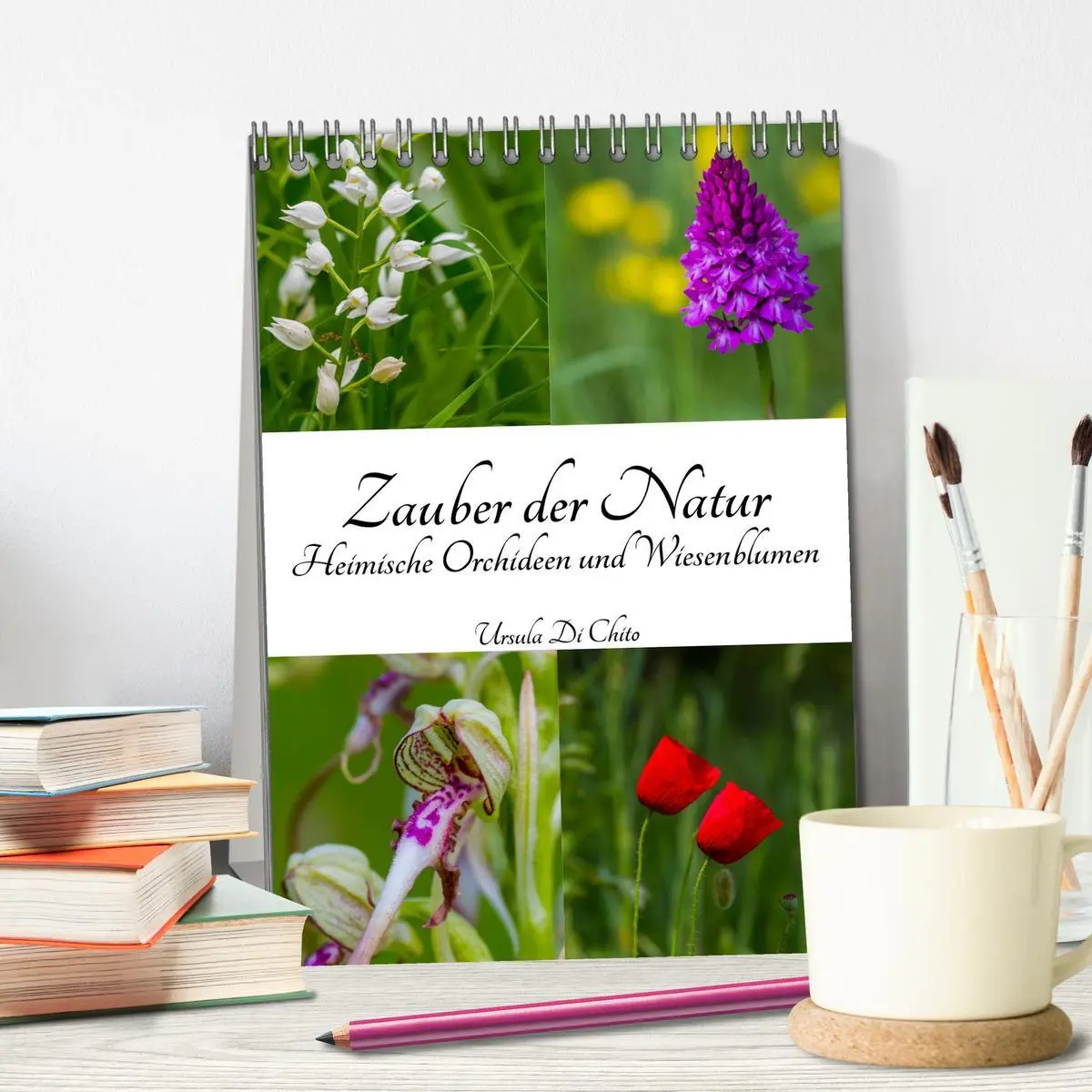 Bild: 9783516423303 | Zauber der Natur - Heimische Orchideen und Wiesenblumen...