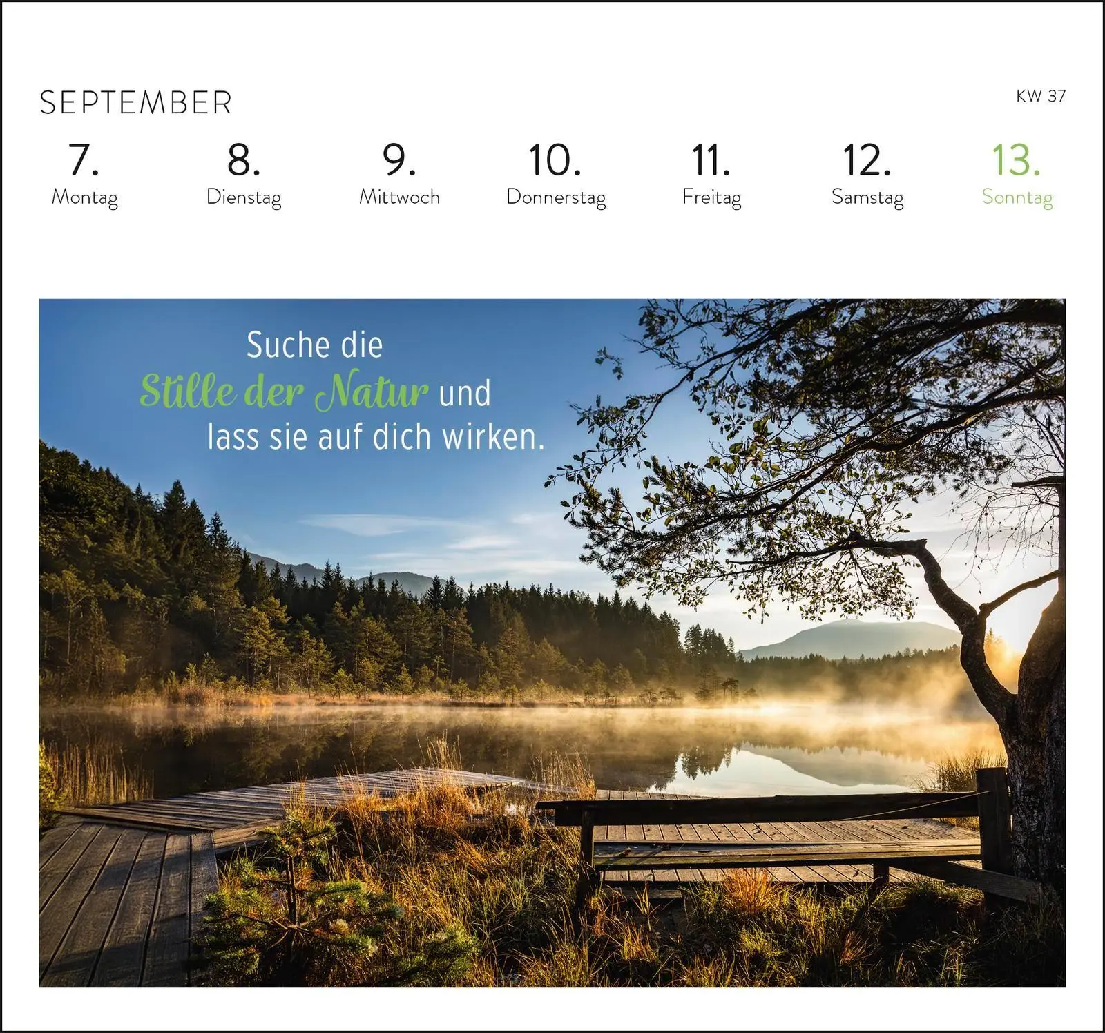 Bild: 4036442013403 | Postkartenkalender 2026: Was ich dir wünsche für jeden Tag | Verlag