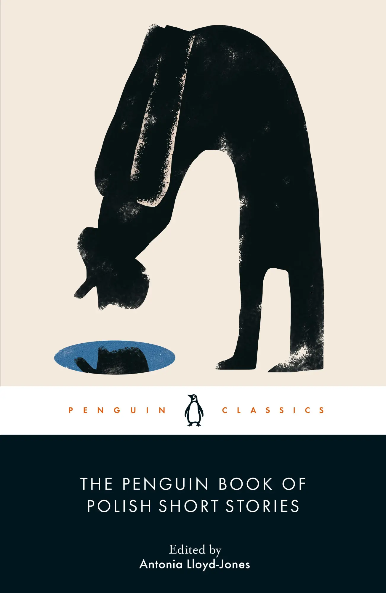Cover: 9780241563403 | The Penguin Book of Polish Short Stories | Antonia Lloyd-Jones | Buch