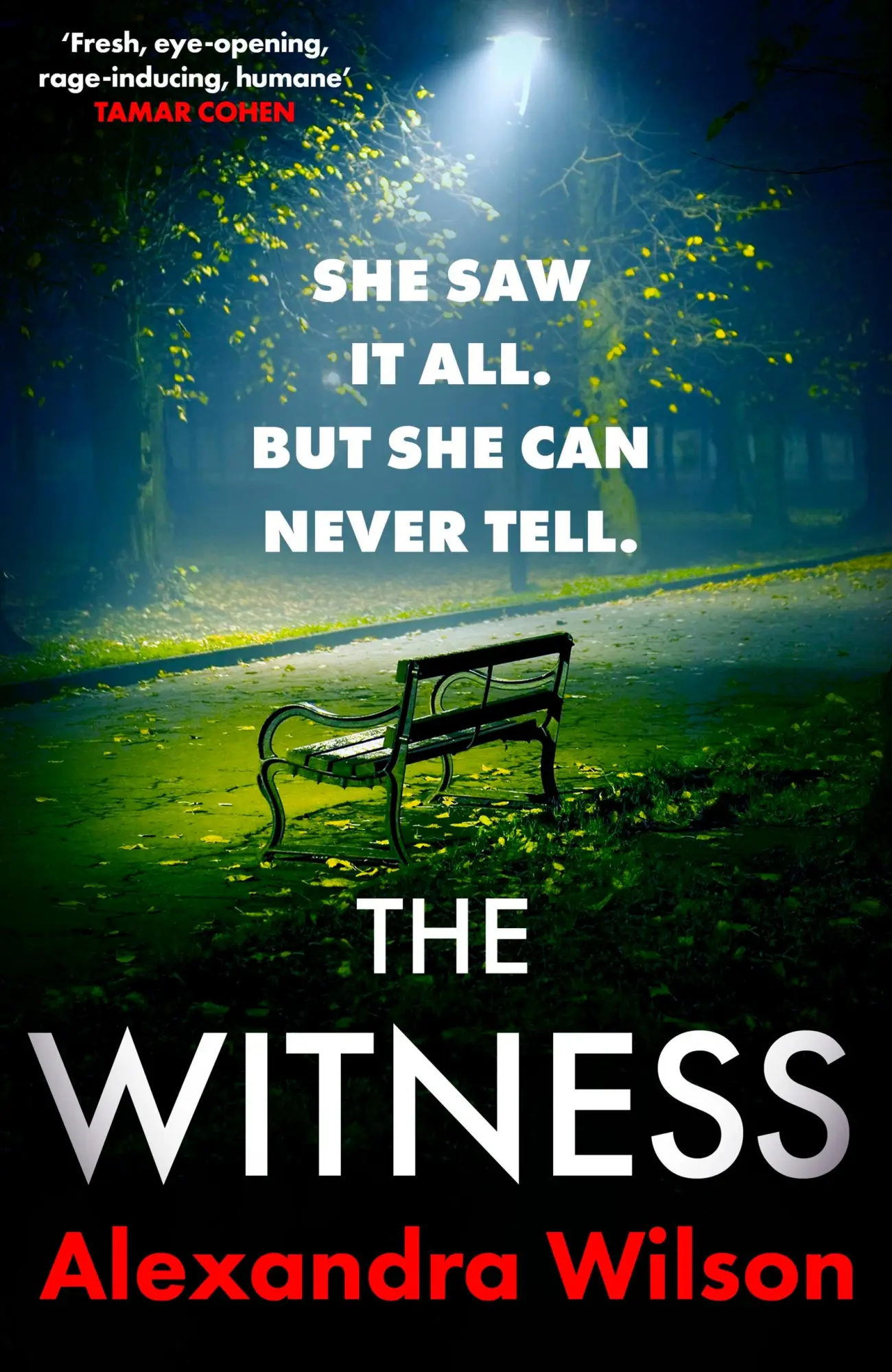 Cover: 9780751583403 | The Witness | Alexandra Wilson | Buch | Gebunden | Englisch | 2024