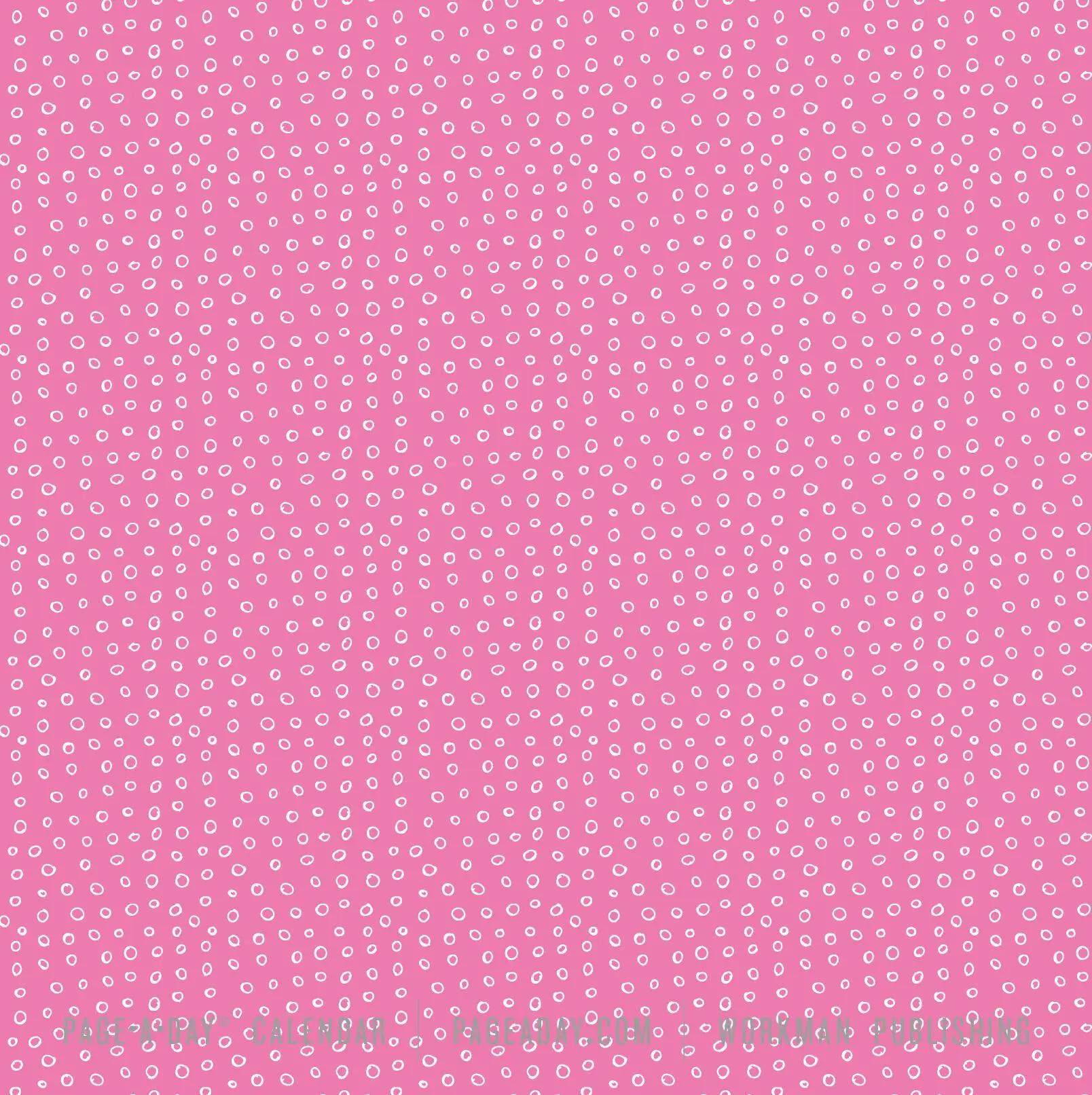 Bild: 9781523533503 | Origami Page-A-Day® Calendar 2027 | More Than 250 Projects to Fold!