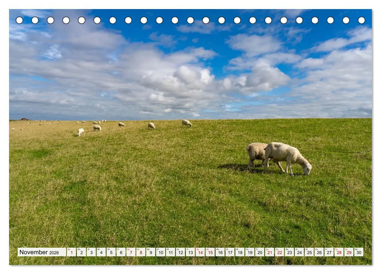 Bild: 9783457483503 | Schleswig-Holstein - Nordfriesland (Tischkalender 2026 DIN A5...