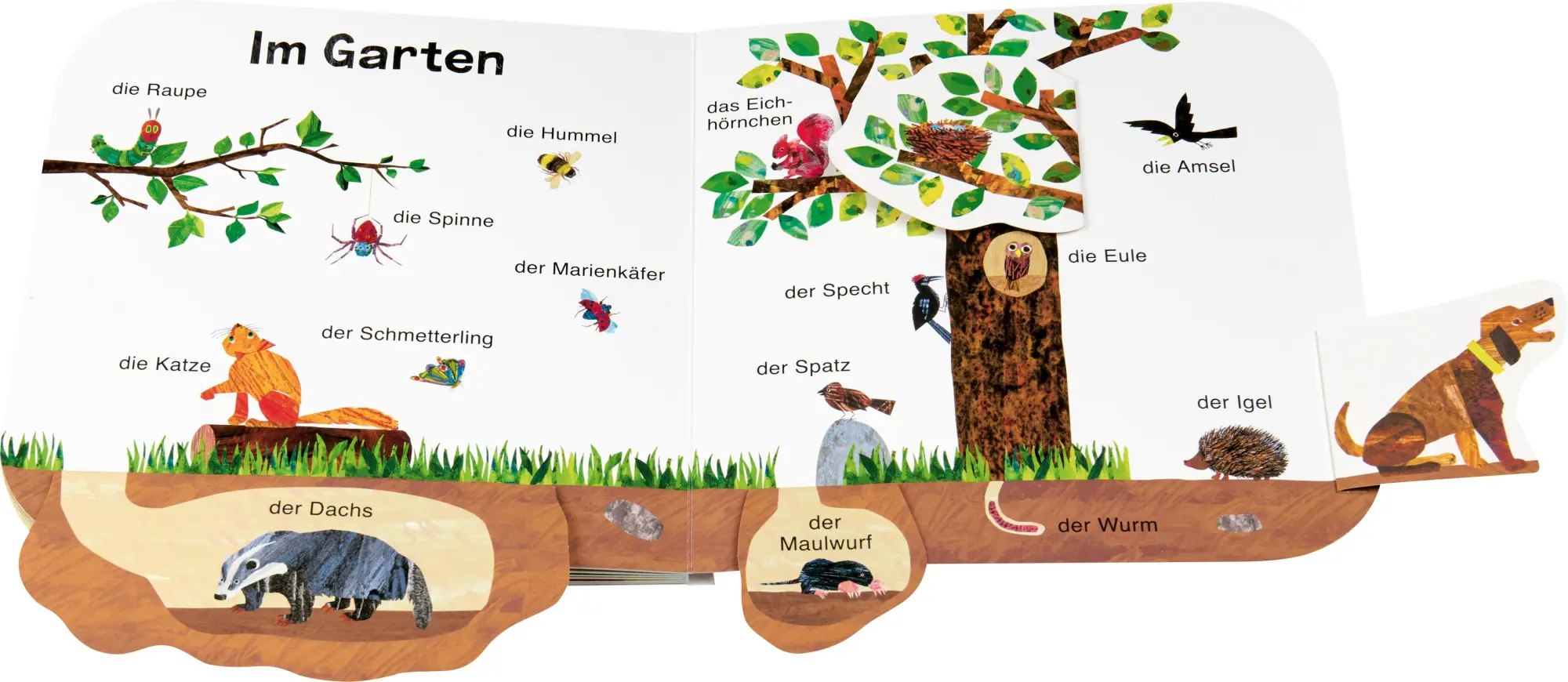 Bild: 9783836963503 | Die kleine Raupe Nimmersatt - Meine ersten 100 Tiere | Carle | Buch