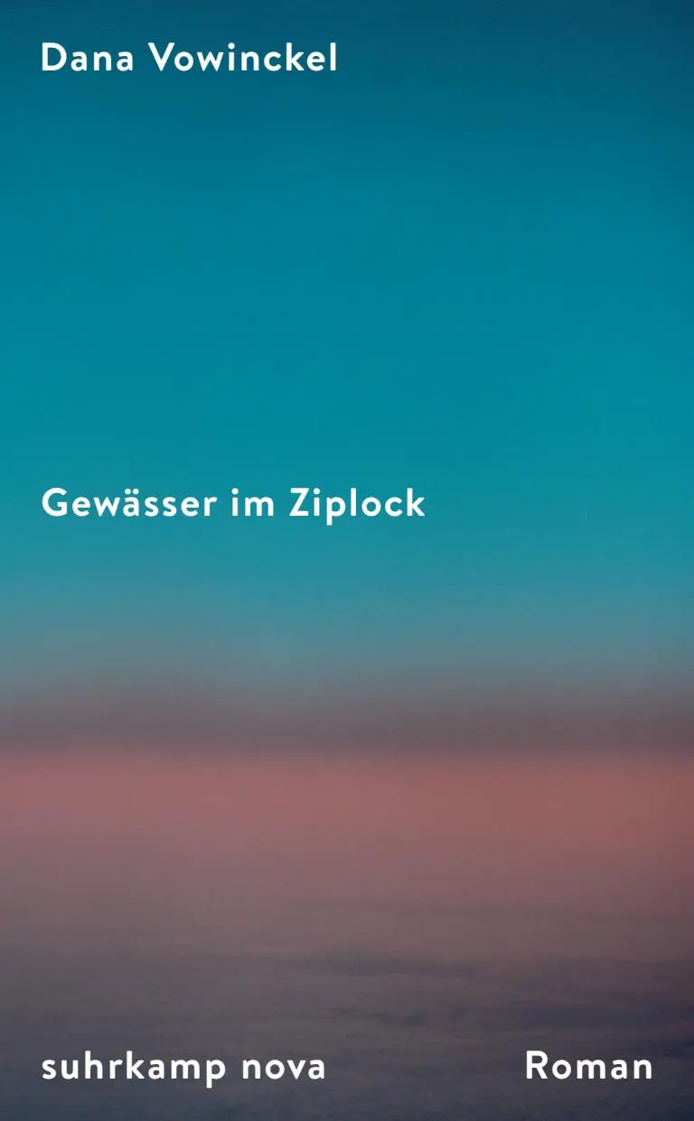 Cover: 9783518473603 | Gewässer im Ziplock | Dana Vowinckel | Buch | 362 S. | Deutsch | 2023