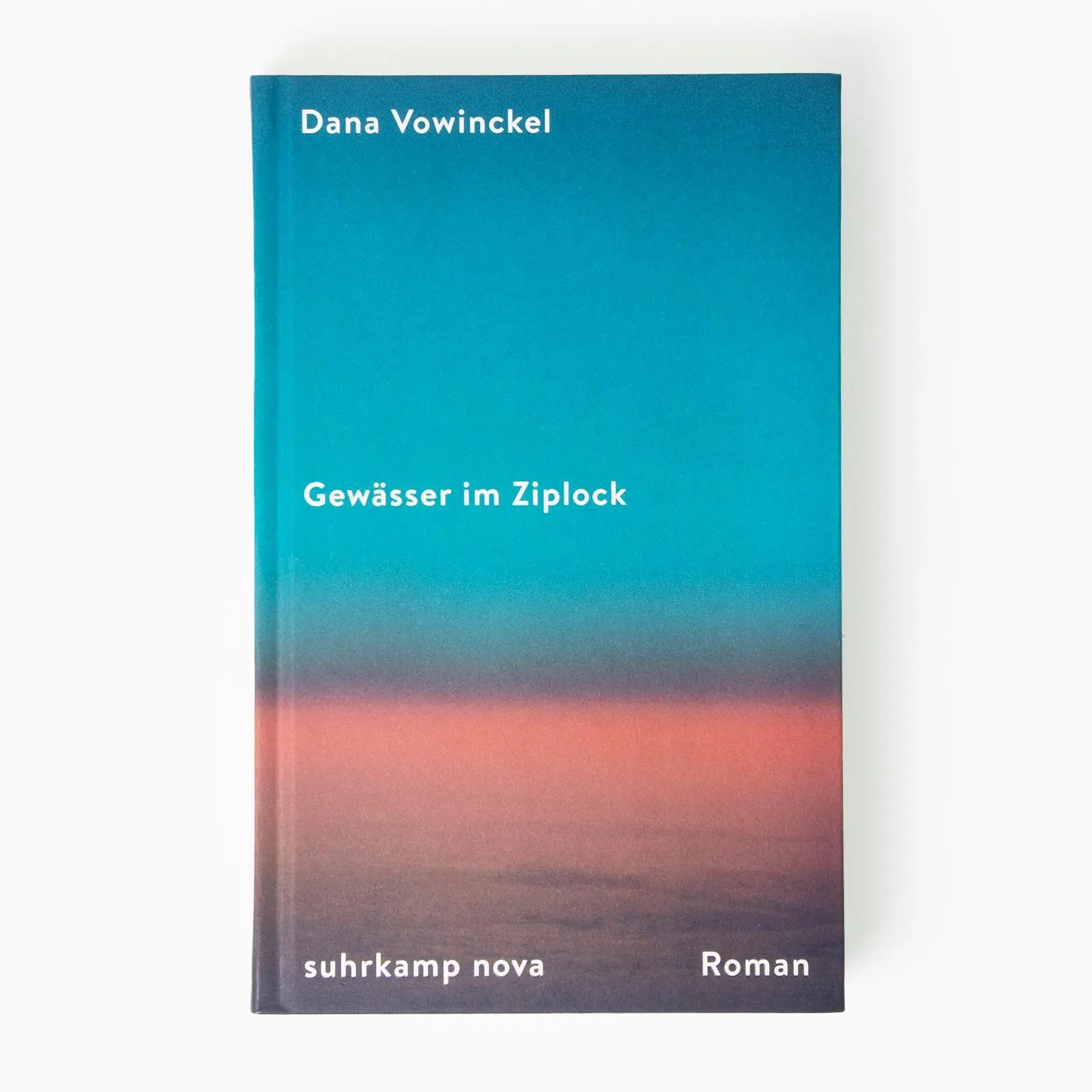 Bild: 9783518473603 | Gewässer im Ziplock | Dana Vowinckel | Buch | 362 S. | Deutsch | 2023