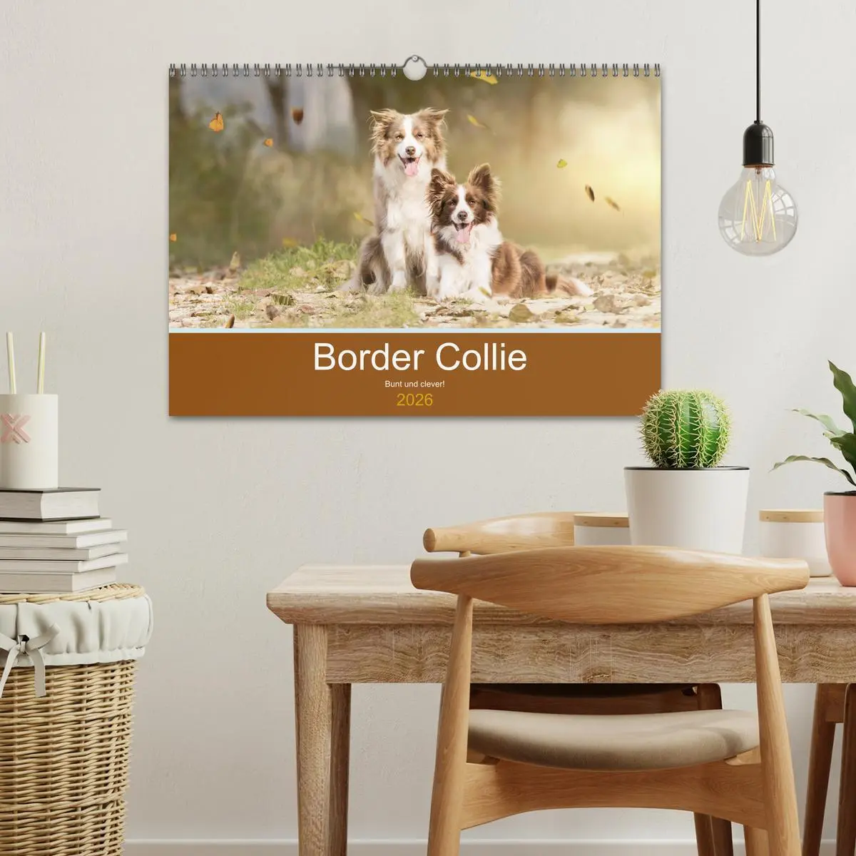 Bild: 9783457763803 | Border Collie - Bunt und clever! (Wandkalender 2026 DIN A3 quer),...