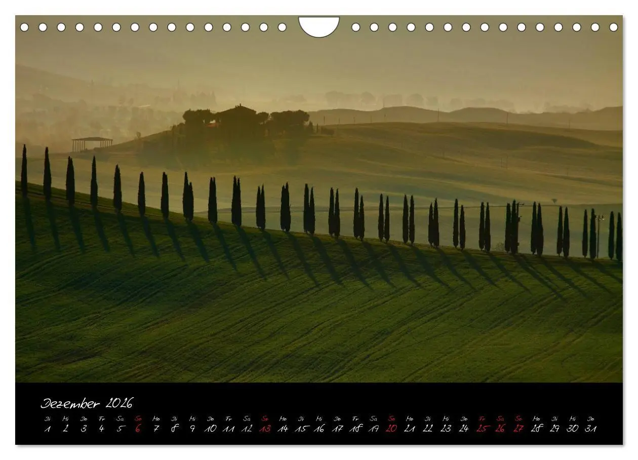 Bild: 9783516163803 | Licht der Toscana (Wandkalender 2026 DIN A4 quer), CALVENDO...