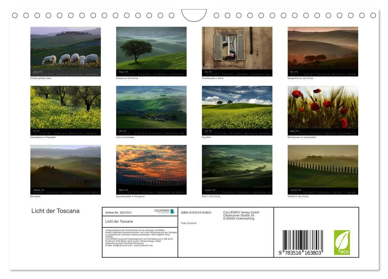 Bild: 9783516163803 | Licht der Toscana (Wandkalender 2026 DIN A4 quer), CALVENDO...