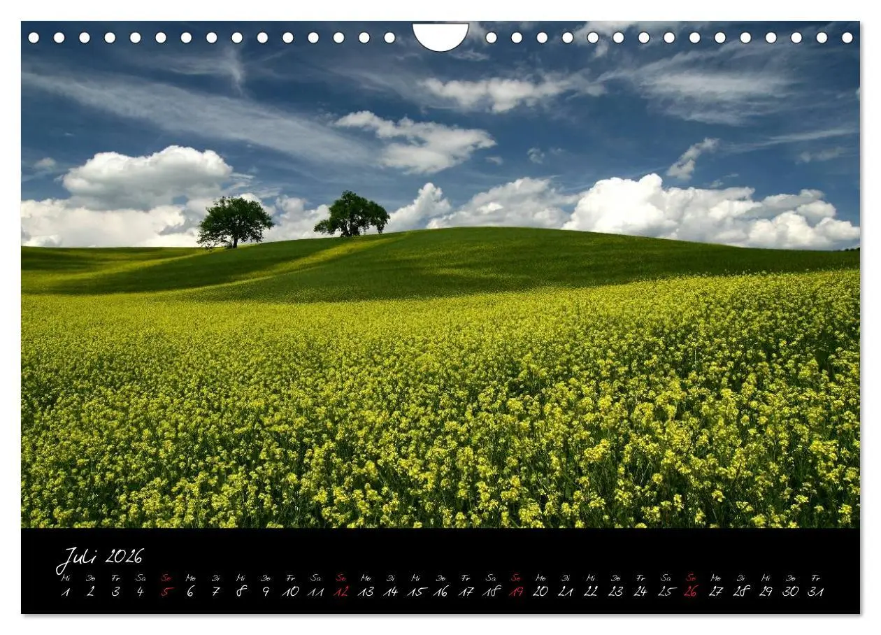Bild: 9783516163803 | Licht der Toscana (Wandkalender 2026 DIN A4 quer), CALVENDO...