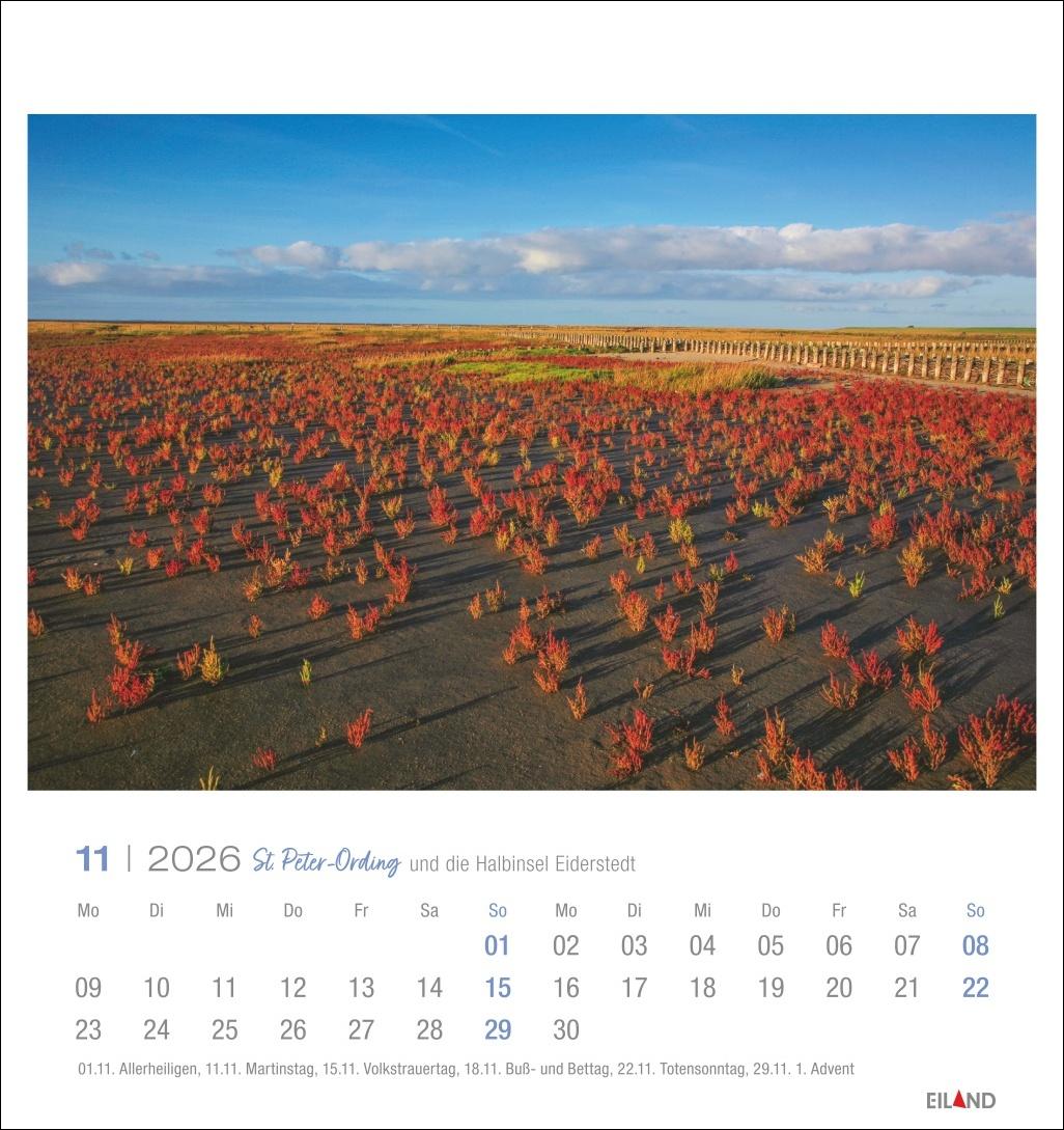 Bild: 9783964023803 | St. Peter-Ording und die Halbinsel Eiderstedt Postkartenkalender 2026
