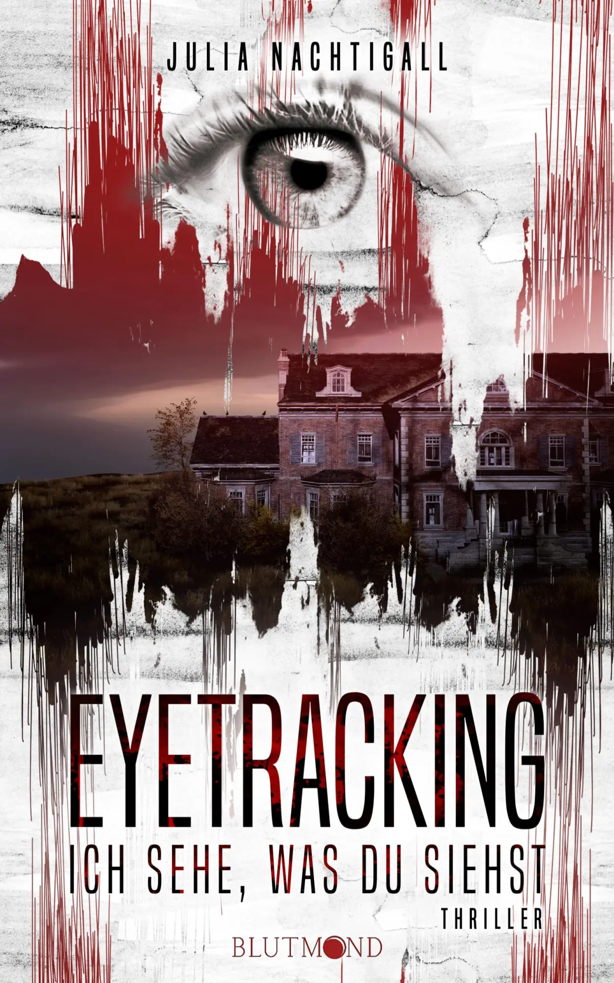 Cover: 9783982693903 | Eyetracking | Ich sehe, was du siehst | Julia Nachtigall | Taschenbuch