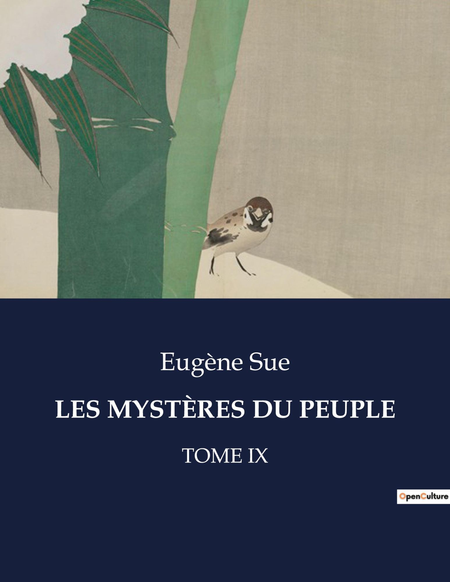 LES MYSTÈRES DU PEUPLE | TOME IX | Eugène Sue | Taschenbuch | Les classiques de la littérature | Paperback | Französisch | 2023 | Culturea | EAN 9791041973903 - Sue, Eugène