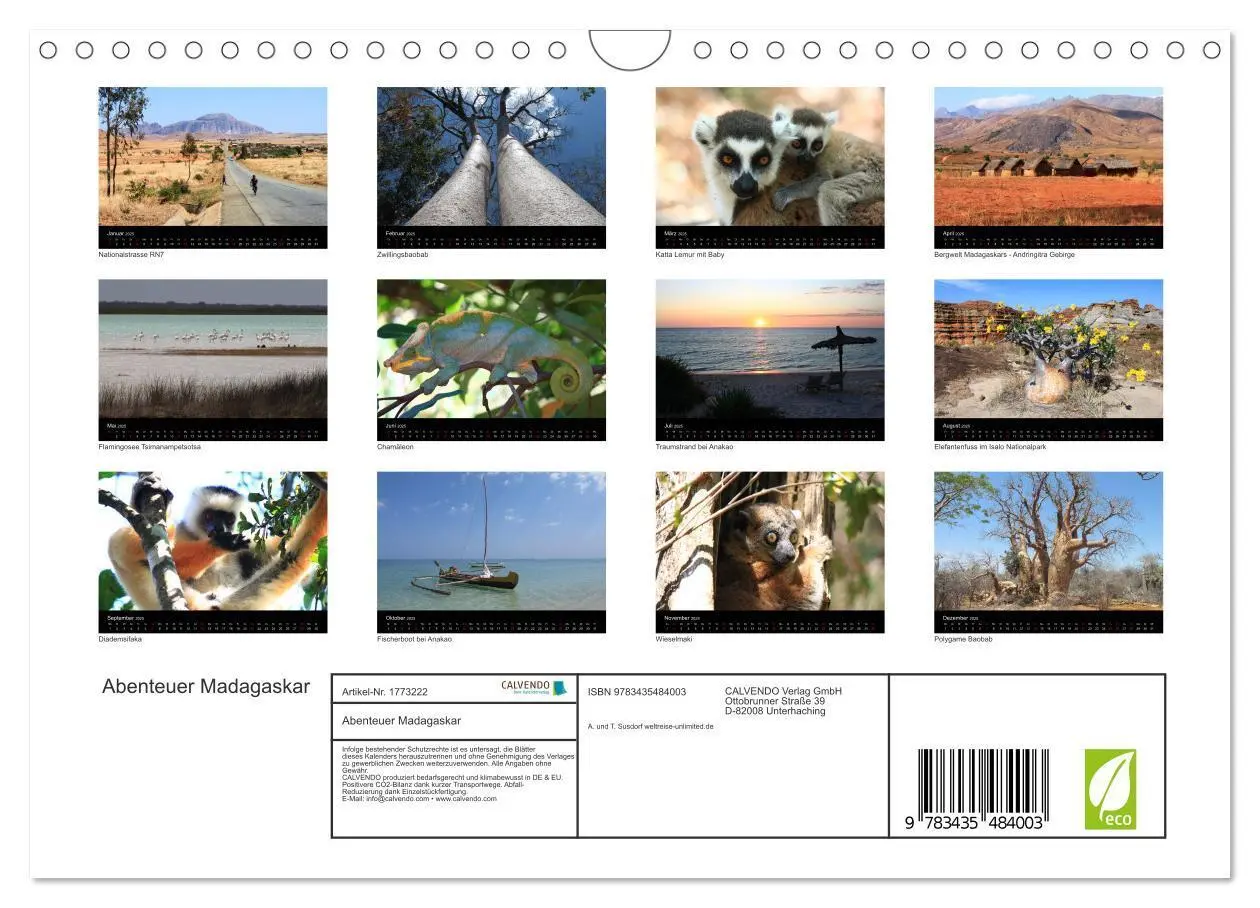 Bild: 9783435484003 | Abenteuer Madagaskar (Wandkalender 2025 DIN A4 quer), CALVENDO...