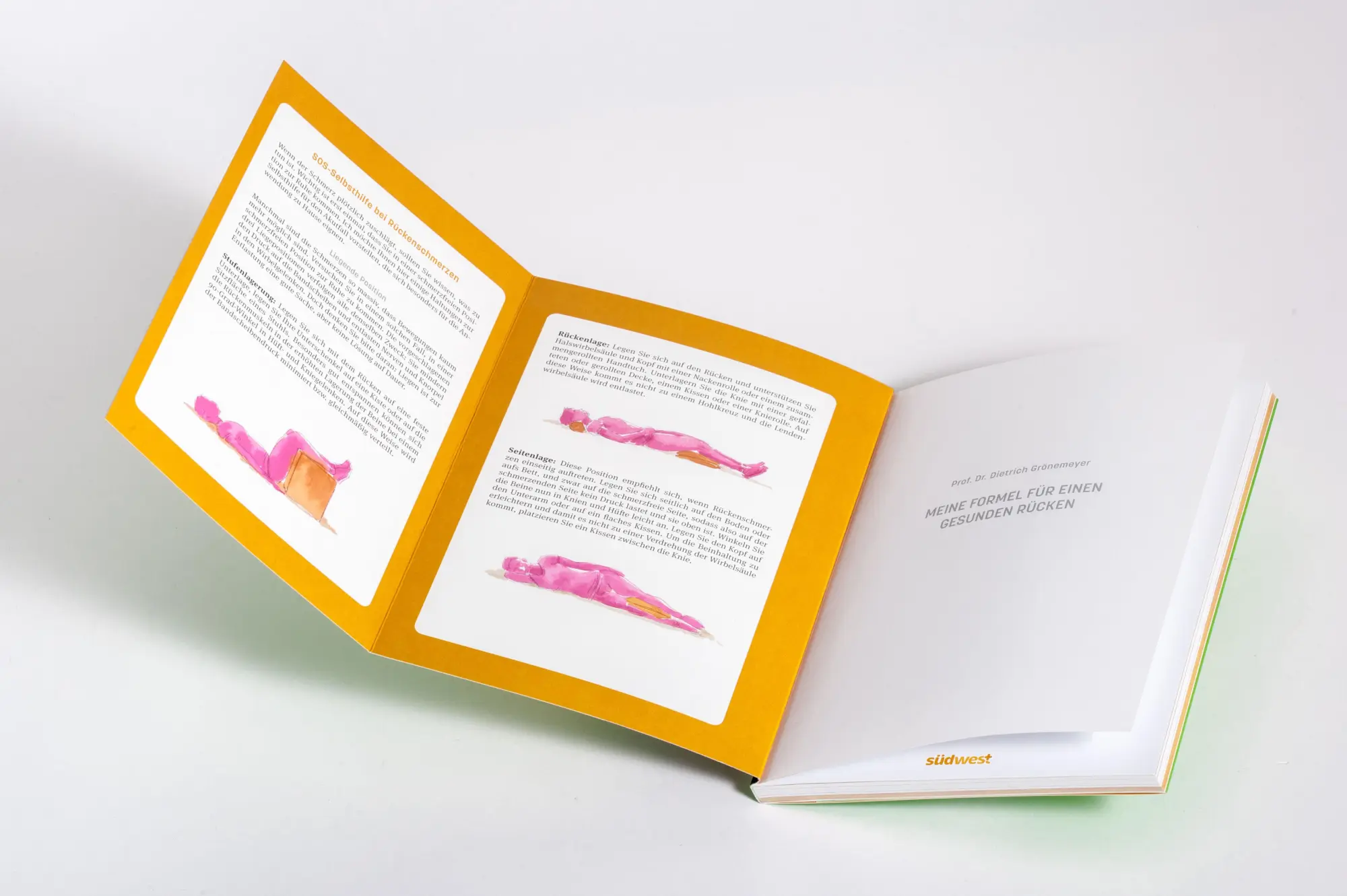 Bild: 9783517104003 | Meine Formel für einen gesunden Rücken | Dietrich Grönemeyer | Buch