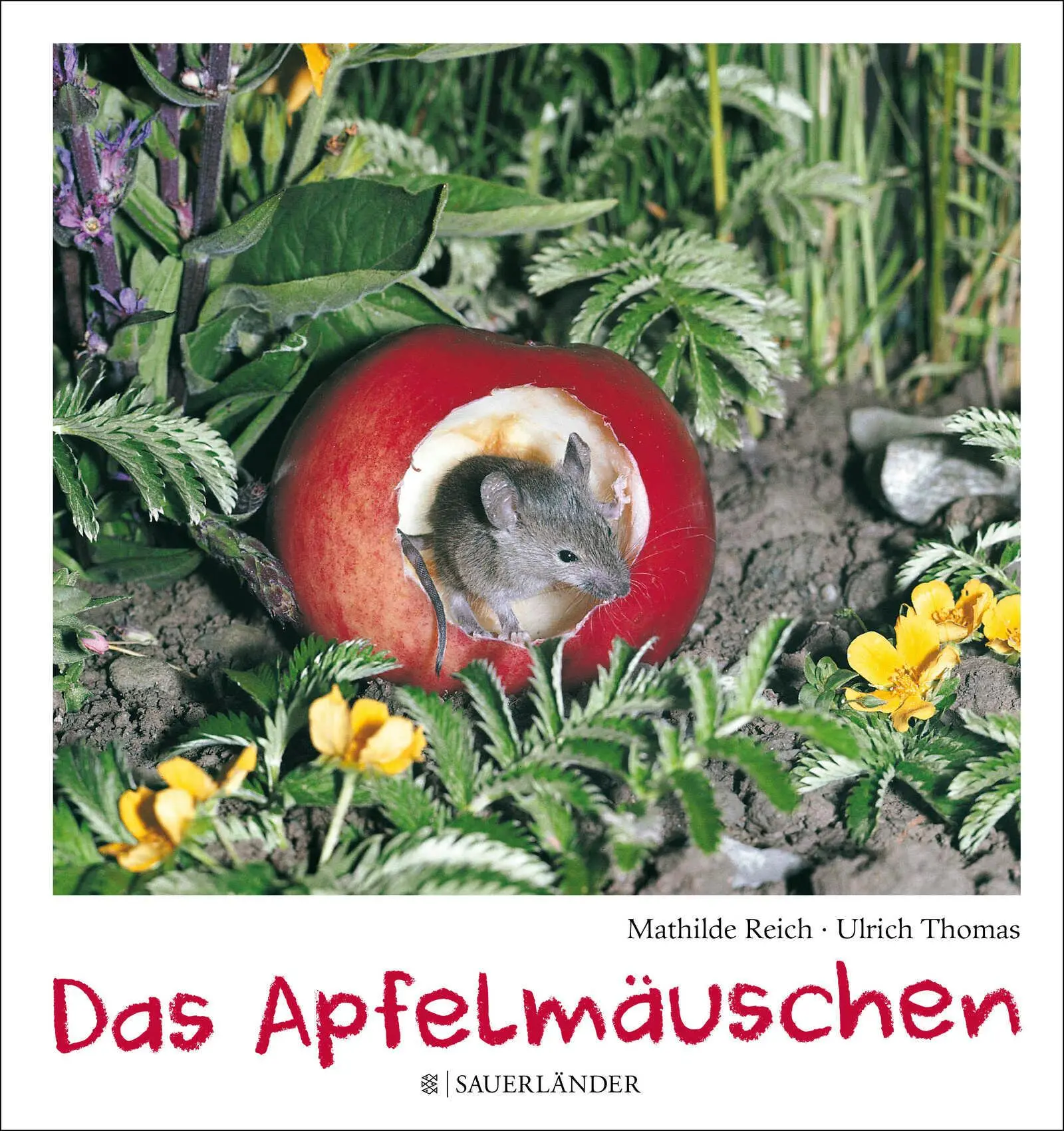 Cover: 9783737364003 | Das Apfelmäuschen | (Mini-Ausgabe) | Mathilde Reich | Buch | 40 S. Cover: 9783737364003 | Das Apfelmäuschen | (Mini-Ausgabe) | Mathilde Reich | Buch | 40 S.