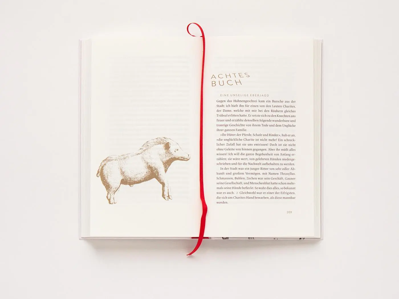 Bild: 9783847704003 | Metamorphosen oder Der goldne Esel | Apuleius | Buch | 420 S. | 2018