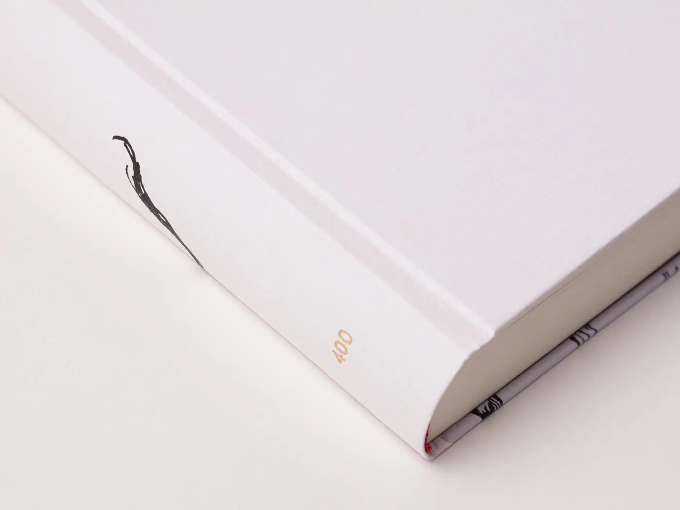 Bild: 9783847704003 | Metamorphosen oder Der goldne Esel | Apuleius | Buch | 420 S. | 2018
