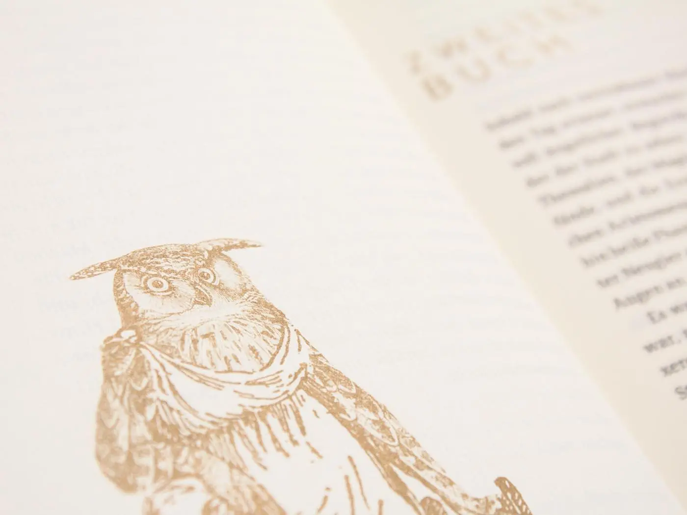 Bild: 9783847704003 | Metamorphosen oder Der goldne Esel | Apuleius | Buch | 420 S. | 2018