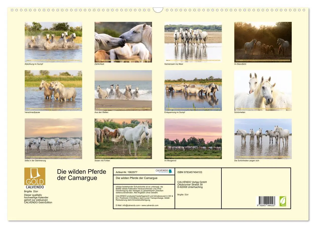 Bild: 9783457494103 | Die wilden Pferde der Camargue (Wandkalender 2026 DIN A2 quer),...