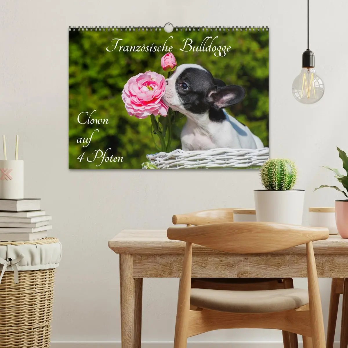 Bild: 9783516034103 | Französische Bulldogge - Clown auf 4 Pfoten (Wandkalender 2026 DIN...