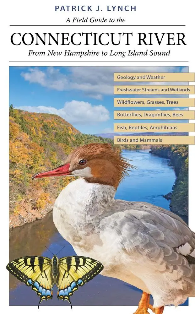 Cover: 9780300264203 | A Field Guide to the Connecticut River | Patrick J. Lynch | Buch