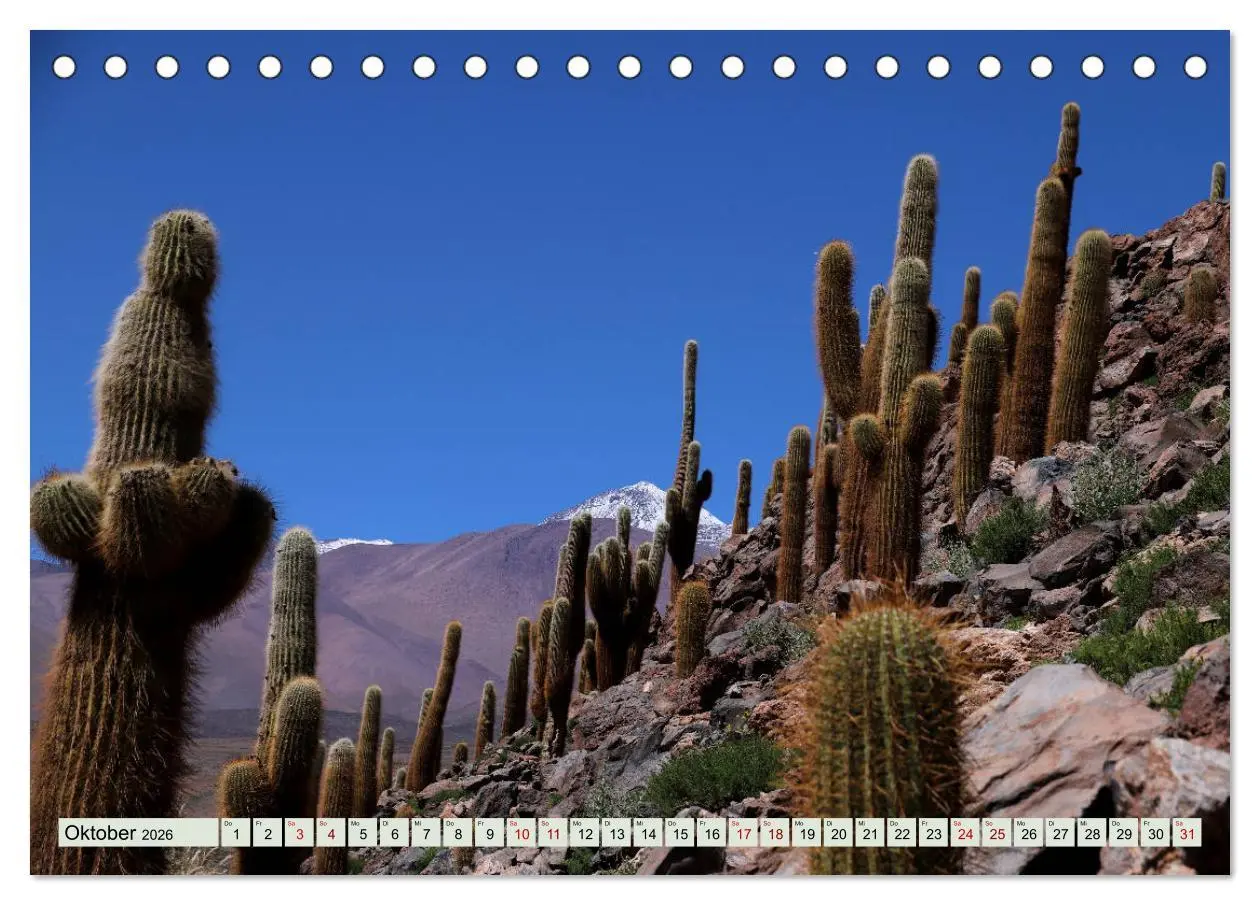 Bild: 9783457794203 | ATACAMA Wunder der Natur (Tischkalender 2026 DIN A5 quer), CALVENDO...