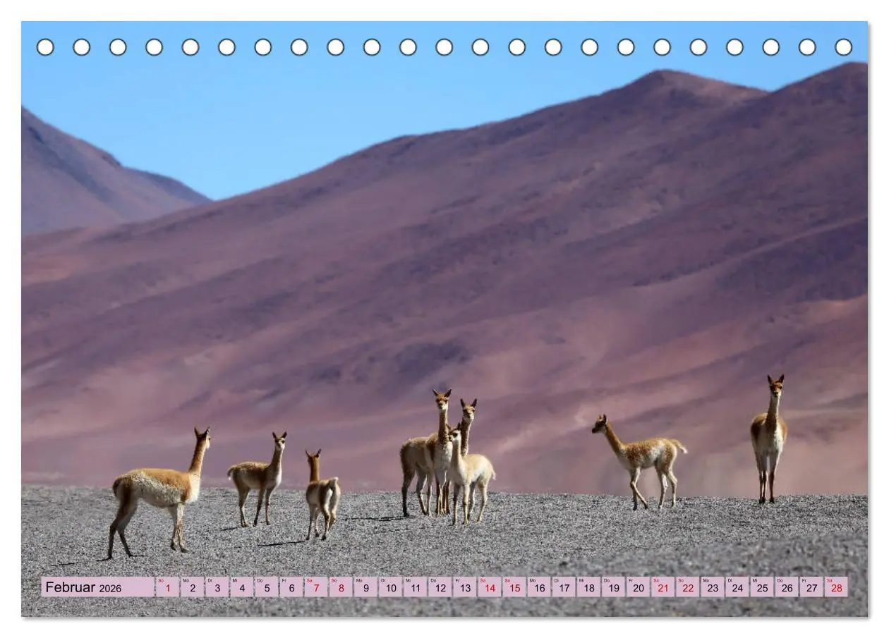 Bild: 9783457794203 | ATACAMA Wunder der Natur (Tischkalender 2026 DIN A5 quer), CALVENDO...