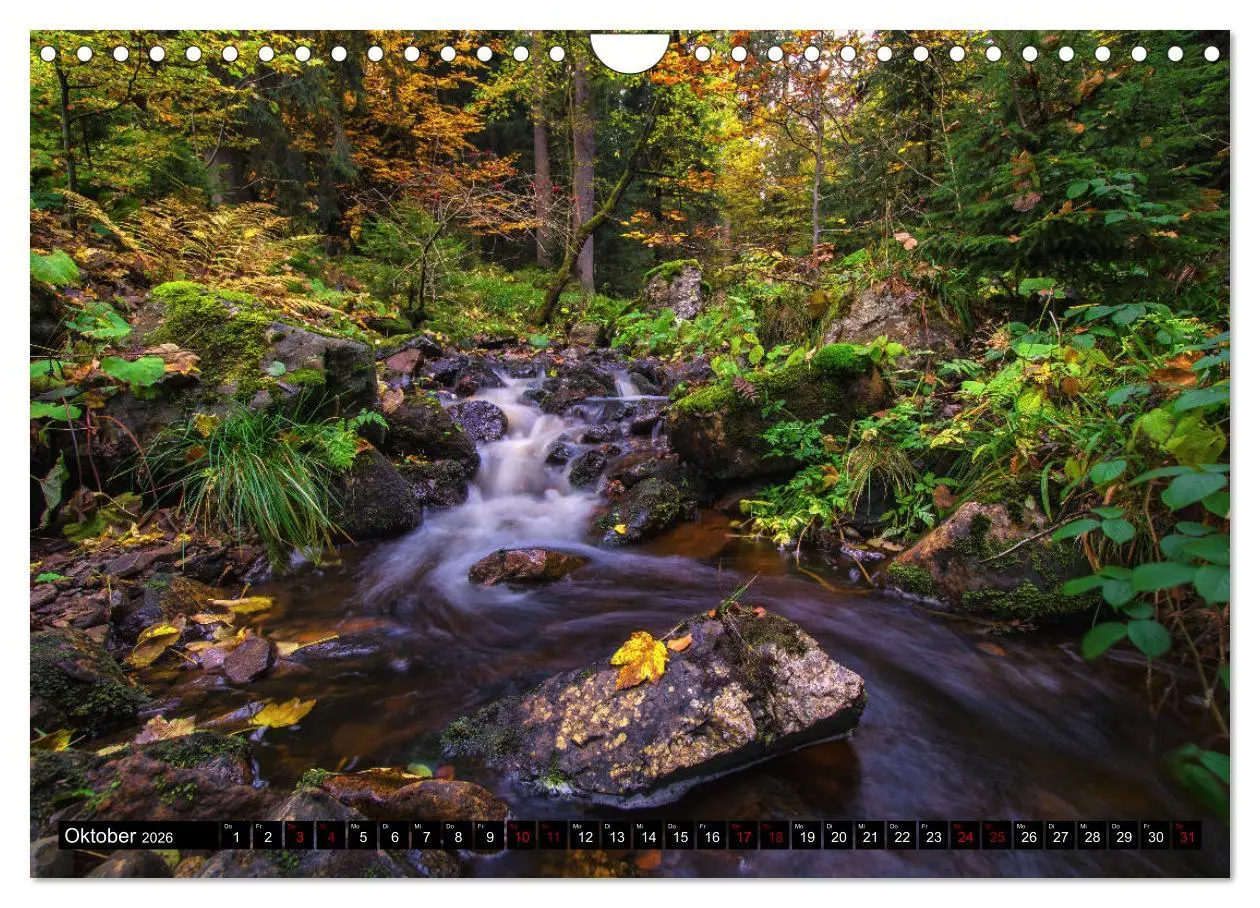 Bild: 9783457864203 | Flüsse und Seen im Harz (Wandkalender 2026 DIN A4 quer), CALVENDO...