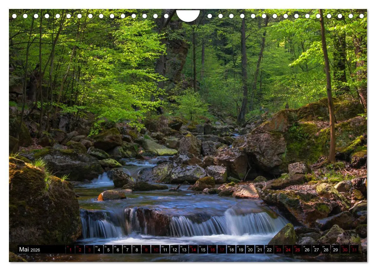 Bild: 9783457864203 | Flüsse und Seen im Harz (Wandkalender 2026 DIN A4 quer), CALVENDO...