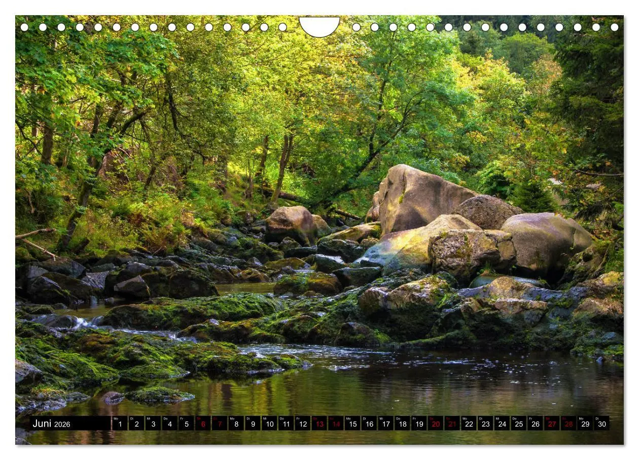 Bild: 9783457864203 | Flüsse und Seen im Harz (Wandkalender 2026 DIN A4 quer), CALVENDO...