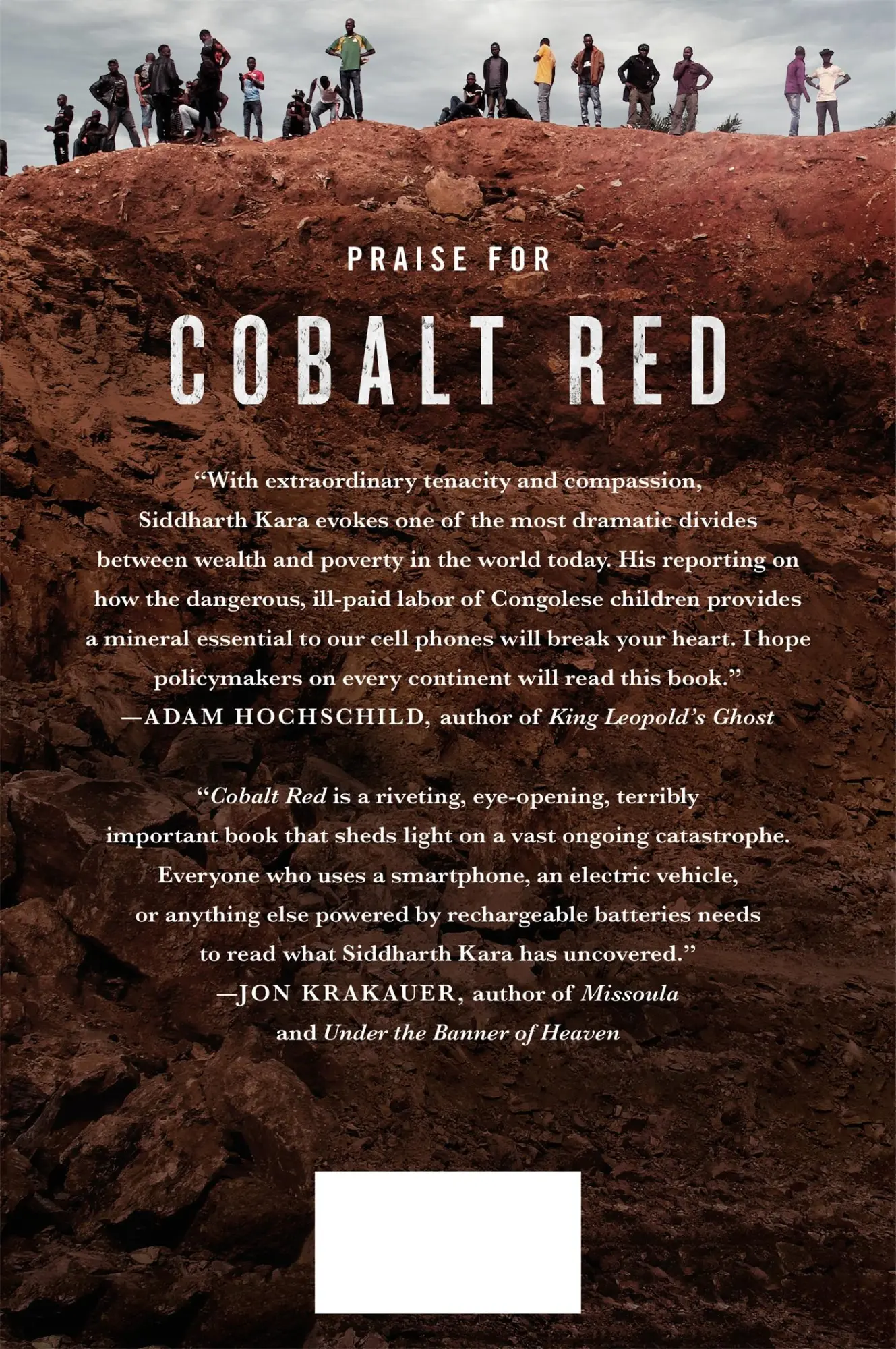 Rückseite: 9781250284303 | Cobalt Red | How the Blood of the Congo Powers Our Lives | Kara | Buch