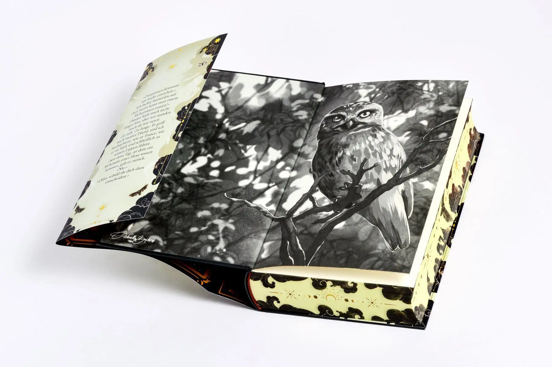 Bild: 9783328604303 | Witches of Deadly Sins | Ava Reed | Buch | Die Hexenerbe-Dilogie