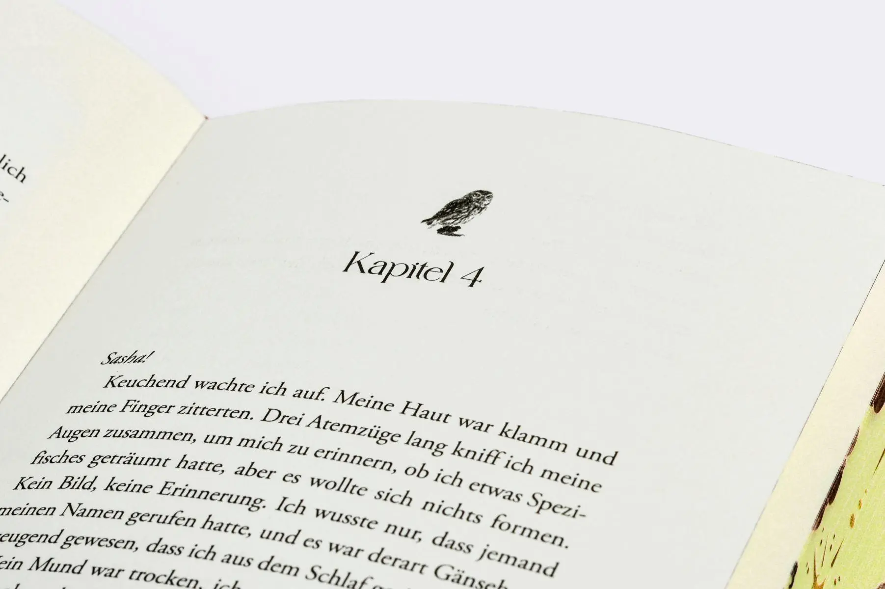 Bild: 9783328604303 | Witches of Deadly Sins | Ava Reed | Buch | Die Hexenerbe-Dilogie