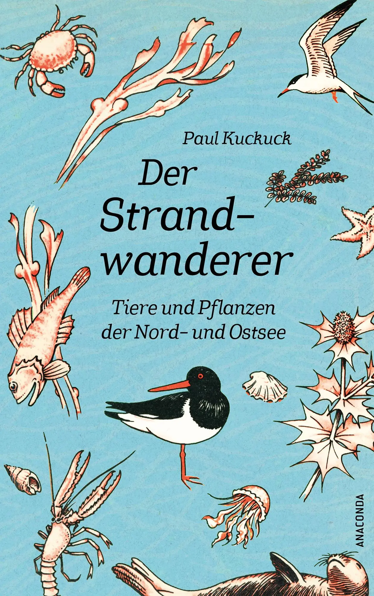 Cover: 9783730614303 | Der Strandwanderer. Tiere und Pflanzen der Nord- und Ostsee | Kuckuck