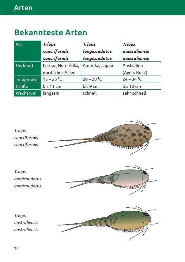 Bild: 9783944484303 | Triops - Ratgeber zur artgerechten Aufzucht und Haltung | Taschenbuch